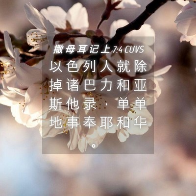 Picture 04 - 撒 母 耳 记 上 7:4 CUVS - 以 色 列 人 就 除 掉 诸 巴 力 和 亚 - Bible Verse Picture