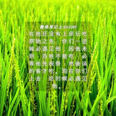 Picture 04 - 撒 母 耳 记 上 9:13 CUVS - 在 他 还 没 有 上 邱 坛 吃 祭 物 之 - Bible Verse Picture