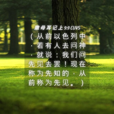 Picture 04 - 撒 母 耳 记 上 9:9 CUVS - （ 从 前 以 色 列 中 ， 若 有 人 去 - Bible Verse Picture
