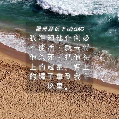 Picture 04 - 撒 母 耳 记 下 1:10 CUVS - 我 准 知 他 仆 倒 必 不 能 活 ， 就 - Bible Verse Picture