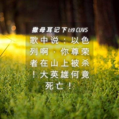 Picture 04 - 撒 母 耳 记 下 1:19 CUVS - 歌 中 说 ： 以 色 列 啊 ， 你 尊 荣 - Bible Verse Picture