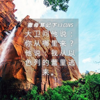 Picture 04 - 撒 母 耳 记 下 1:3 CUVS - 大 卫 问 他 说 ： 你 从 哪 里 来 ？ - Bible Verse Picture