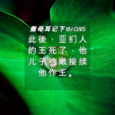 Picture 04 - 撒 母 耳 记 下 10:1 CUVS - 此 後 ， 亚 扪 人 的 王 死 了 ， 他 - Bible Verse Picture
