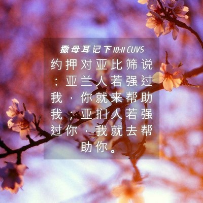 Picture 04 - 撒 母 耳 记 下 10:11 CUVS - 约 押 对 亚 比 筛 说 ： 亚 兰 人 若 - Bible Verse Picture