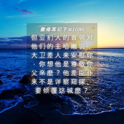 Picture 04 - 撒 母 耳 记 下 10:3 CUVS - 但 亚 扪 人 的 首 领 对 他 们 的 主 - Bible Verse Picture