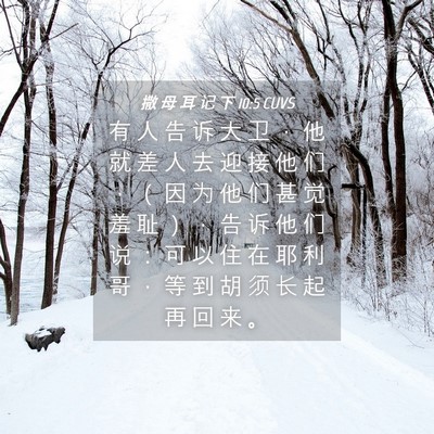 Picture 04 - 撒 母 耳 记 下 10:5 CUVS - 有 人 告 诉 大 卫 ， 他 就 差 人 去 - Bible Verse Picture