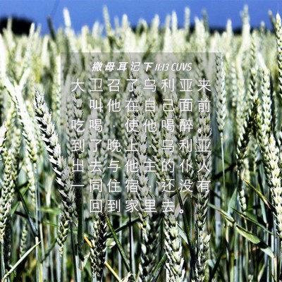 Picture 04 - 撒 母 耳 记 下 11:13 CUVS - 大 卫 召 了 乌 利 亚 来 ， 叫 他 在 - Bible Verse Picture