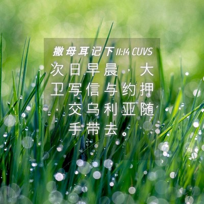 Picture 04 - 撒 母 耳 记 下 11:14 CUVS - 次 日 早 晨 ， 大 卫 写 信 与 约 押 - Bible Verse Picture