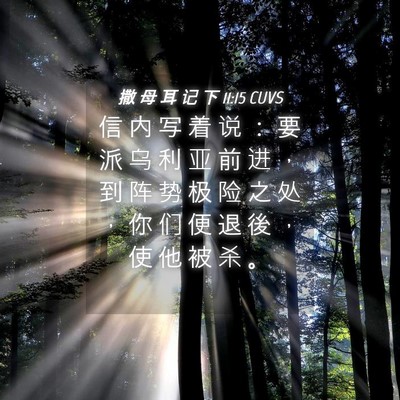 Picture 04 - 撒 母 耳 记 下 11:15 CUVS - 信 内 写 着 说 ： 要 派 乌 利 亚 前 - Bible Verse Picture