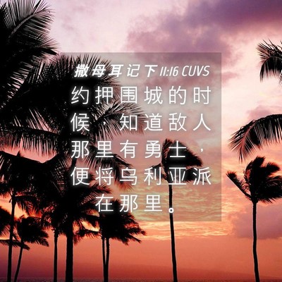Picture 04 - 撒 母 耳 记 下 11:16 CUVS - 约 押 围 城 的 时 候 ， 知 道 敌 人 - Bible Verse Picture