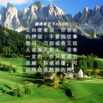 Picture 04 - 撒 母 耳 记 下 11:25 CUVS - 王 向 使 者 说 ： 你 告 诉 约 押 说 - Bible Verse Picture