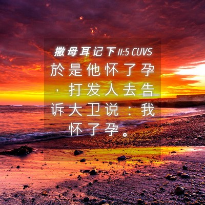 Picture 04 - 撒 母 耳 记 下 11:5 CUVS - 於 是 他 怀 了 孕 ， 打 发 人 去 告 - Bible Verse Picture