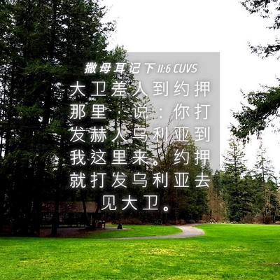 Picture 04 - 撒 母 耳 记 下 11:6 CUVS - 大 卫 差 人 到 约 押 那 里 ， 说 ： - Bible Verse Picture
