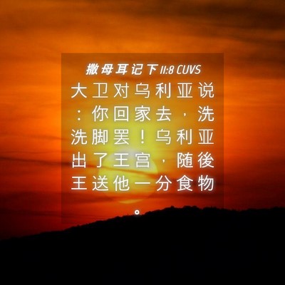 Picture 04 - 撒 母 耳 记 下 11:8 CUVS - 大 卫 对 乌 利 亚 说 ： 你 回 家 去 - Bible Verse Picture