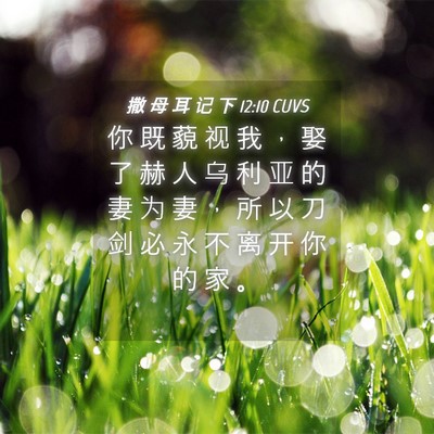 Picture 04 - 撒 母 耳 记 下 12:10 CUVS - 你 既 藐 视 我 ， 娶 了 赫 人 乌 利 - Bible Verse Picture
