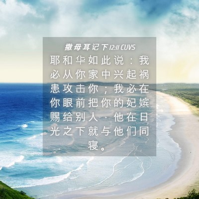 Picture 04 - 撒 母 耳 记 下 12:11 CUVS - 耶 和 华 如 此 说 ： 我 必 从 你 家 - Bible Verse Picture