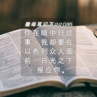 Picture 04 - 撒 母 耳 记 下 12:12 CUVS - 你 在 暗 中 行 这 事 ， 我 却 要 在 - Bible Verse Picture