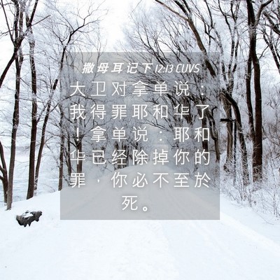 Picture 04 - 撒 母 耳 记 下 12:13 CUVS - 大 卫 对 拿 单 说 ： 我 得 罪 耶 和 - Bible Verse Picture