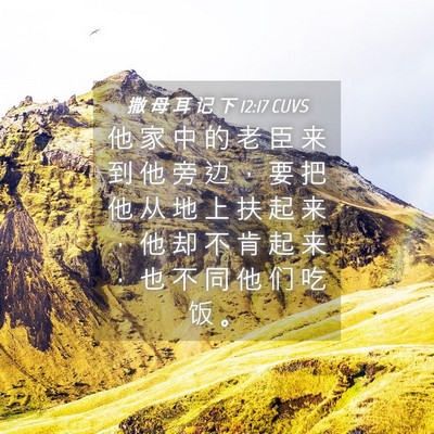 Picture 04 - 撒 母 耳 记 下 12:17 CUVS - 他 家 中 的 老 臣 来 到 他 旁 边 ， - Bible Verse Picture