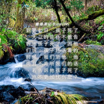 Picture 04 - 撒 母 耳 记 下 12:18 CUVS - 到 第 七 日 ， 孩 子 死 了 。 大 卫 - Bible Verse Picture