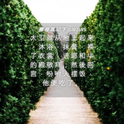 Picture 04 - 撒 母 耳 记 下 12:20 CUVS - 大 卫 就 从 地 上 起 来 ， 沐 浴 ， - Bible Verse Picture