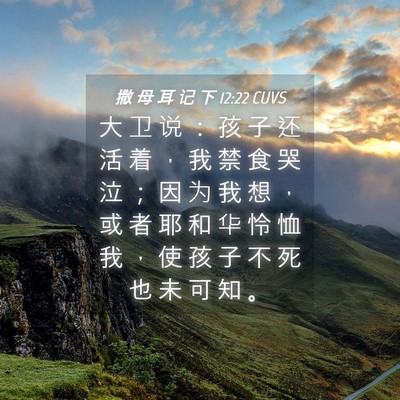 Picture 04 - 撒 母 耳 记 下 12:22 CUVS - 大 卫 说 ： 孩 子 还 活 着 ， 我 禁 - Bible Verse Picture