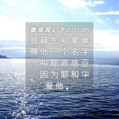 Picture 04 - 撒 母 耳 记 下 12:25 CUVS - 就 藉 先 知 拿 单 赐 他 一 个 名 字 - Bible Verse Picture