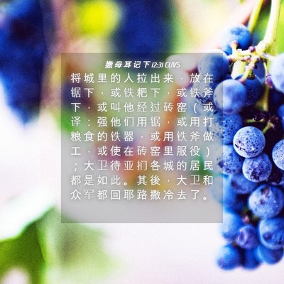 Picture 04 - 撒 母 耳 记 下 12:31 CUVS - 将 城 里 的 人 拉 出 来 ， 放 在 锯 - Bible Verse Picture
