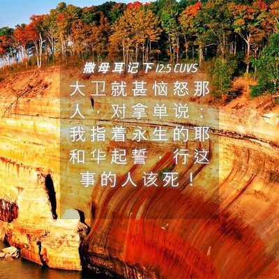 Picture 04 - 撒 母 耳 记 下 12:5 CUVS - 大 卫 就 甚 恼 怒 那 人 ， 对 拿 单 - Bible Verse Picture