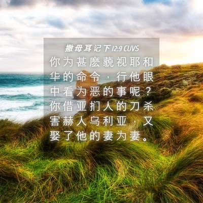 Picture 04 - 撒 母 耳 记 下 12:9 CUVS - 你 为 甚 麽 藐 视 耶 和 华 的 命 令 - Bible Verse Picture