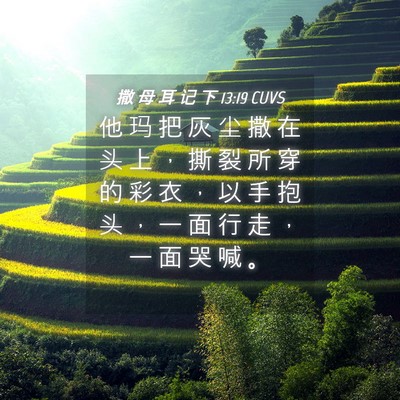 Picture 04 - 撒 母 耳 记 下 13:19 CUVS - 他 玛 把 灰 尘 撒 在 头 上 ， 撕 裂 - Bible Verse Picture