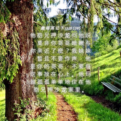 Picture 04 - 撒 母 耳 记 下 13:20 CUVS - 他 胞 兄 押 沙 龙 问 他 说 ： 莫 非 - Bible Verse Picture