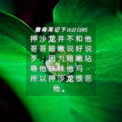 Picture 04 - 撒 母 耳 记 下 13:22 CUVS - 押 沙 龙 并 不 和 他 哥 哥 暗 嫩 说 - Bible Verse Picture