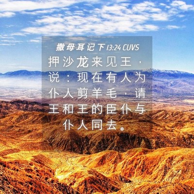 Picture 04 - 撒 母 耳 记 下 13:24 CUVS - 押 沙 龙 来 见 王 ， 说 ： 现 在 有 - Bible Verse Picture
