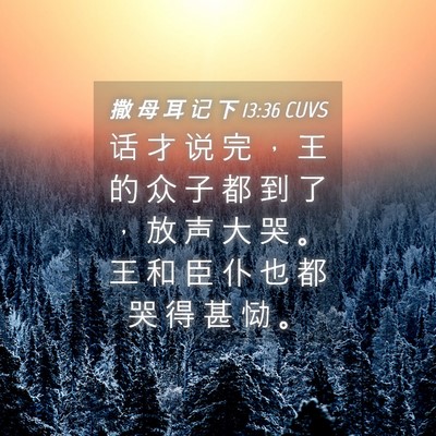 Picture 04 - 撒 母 耳 记 下 13:36 CUVS - 话 才 说 完 ， 王 的 众 子 都 到 了 - Bible Verse Picture
