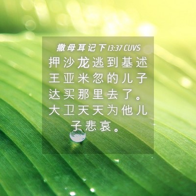 Picture 04 - 撒 母 耳 记 下 13:37 CUVS - 押 沙 龙 逃 到 基 述 王 亚 米 忽 的 - Bible Verse Picture