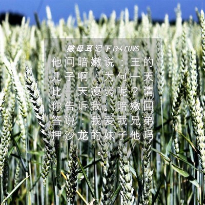 Picture 04 - 撒 母 耳 记 下 13:4 CUVS - 他 问 暗 嫩 说 ： 王 的 儿 子 啊 ， - Bible Verse Picture