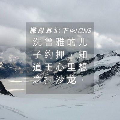 Picture 04 - 撒 母 耳 记 下 14:1 CUVS - 洗 鲁 雅 的 儿 子 约 押 ， 知 道 王 - Bible Verse Picture