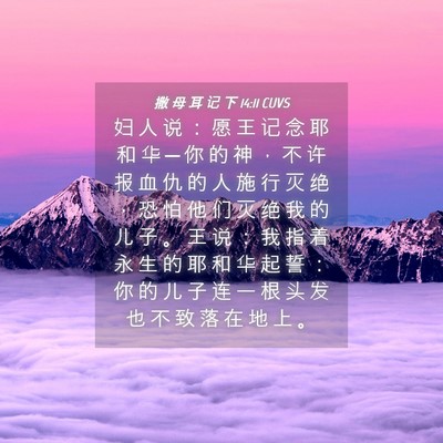 Picture 04 - 撒 母 耳 记 下 14:11 CUVS - 妇 人 说 ： 愿 王 记 念 耶 和 华 ─ - Bible Verse Picture