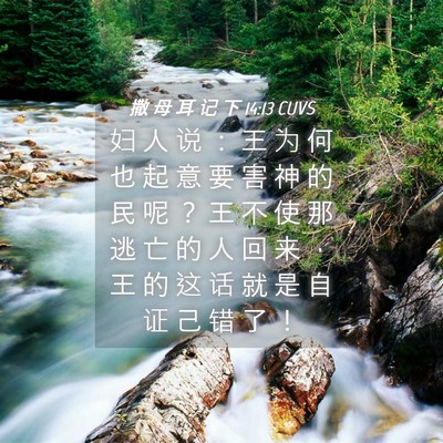 Picture 04 - 撒 母 耳 记 下 14:13 CUVS - 妇 人 说 ： 王 为 何 也 起 意 要 害 - Bible Verse Picture