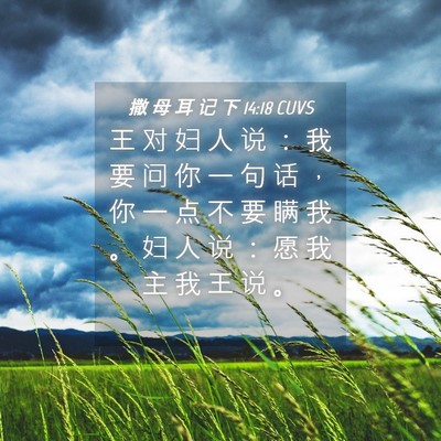 Picture 04 - 撒 母 耳 记 下 14:18 CUVS - 王 对 妇 人 说 ： 我 要 问 你 一 句 - Bible Verse Picture