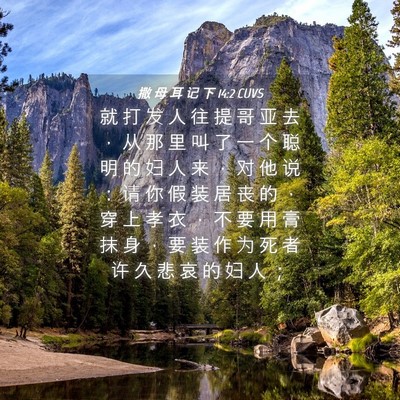 Picture 04 - 撒 母 耳 记 下 14:2 CUVS - 就 打 发 人 往 提 哥 亚 去 ， 从 那 - Bible Verse Picture