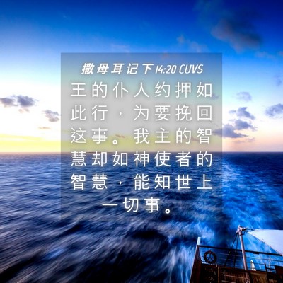 Picture 04 - 撒 母 耳 记 下 14:20 CUVS - 王 的 仆 人 约 押 如 此 行 ， 为 要 - Bible Verse Picture