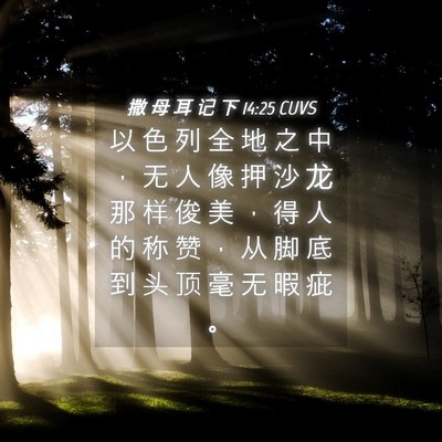 Picture 04 - 撒 母 耳 记 下 14:25 CUVS - 以 色 列 全 地 之 中 ， 无 人 像 押 - Bible Verse Picture