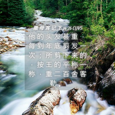 Picture 04 - 撒 母 耳 记 下 14:26 CUVS - 他 的 头 发 甚 重 ， 每 到 年 底 剪 - Bible Verse Picture