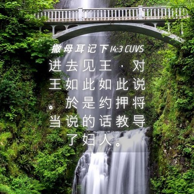 Picture 04 - 撒 母 耳 记 下 14:3 CUVS - 进 去 见 王 ， 对 王 如 此 如 此 说 - Bible Verse Picture