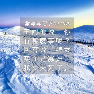 Picture 04 - 撒 母 耳 记 下 14:5 CUVS - 王 问 他 说 ： 你 有 甚 麽 事 呢 ？ - Bible Verse Picture