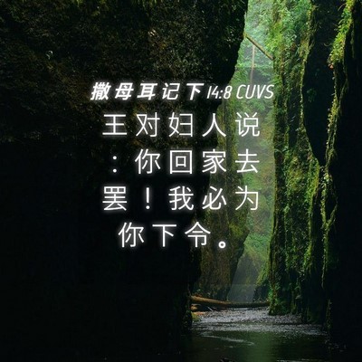 Picture 04 - 撒 母 耳 记 下 14:8 CUVS - 王 对 妇 人 说 ： 你 回 家 去 罢 ！ - Bible Verse Picture