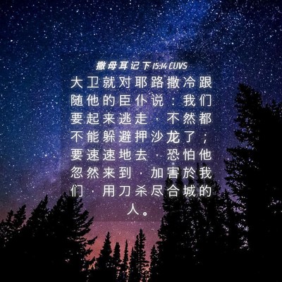 Picture 04 - 撒 母 耳 记 下 15:14 CUVS - 大 卫 就 对 耶 路 撒 冷 跟 随 他 的 - Bible Verse Picture