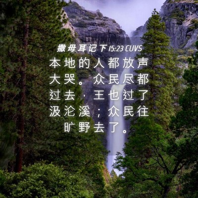 Picture 04 - 撒 母 耳 记 下 15:23 CUVS - 本 地 的 人 都 放 声 大 哭 。 众 民 - Bible Verse Picture